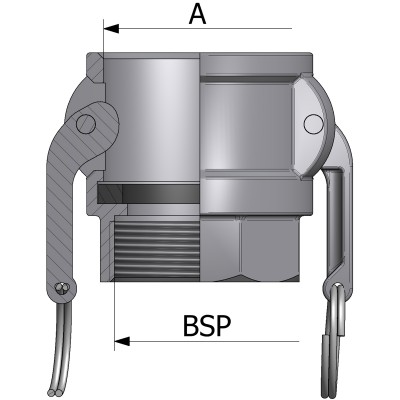 Raccordo tipo D con filettatura femmina BSP - acciaio inox AISI 316