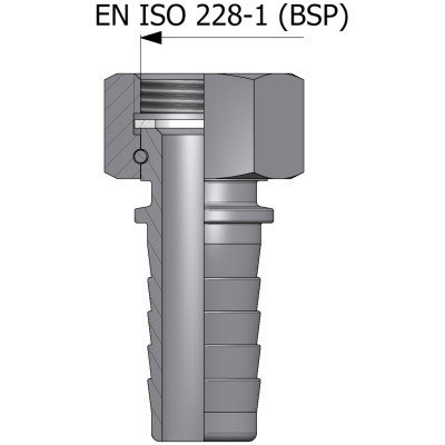 Raccordo con filettatura femmina EN ISO 228-1 (BSP) - acciaio inox AISI 316