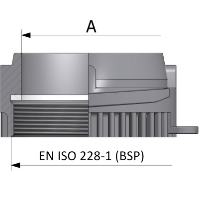 Raccordo maschio tipo WK con filettatura femmina EN ISO 228-1 (BSP) - acciaio inox AISI 316