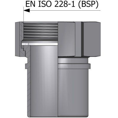 Raccordo con filettatura femmina EN ISO 228-1 (BSP) - acciaio inox AISI 316